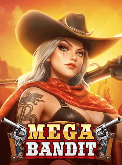 mmr1133